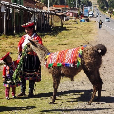 Popular Tours